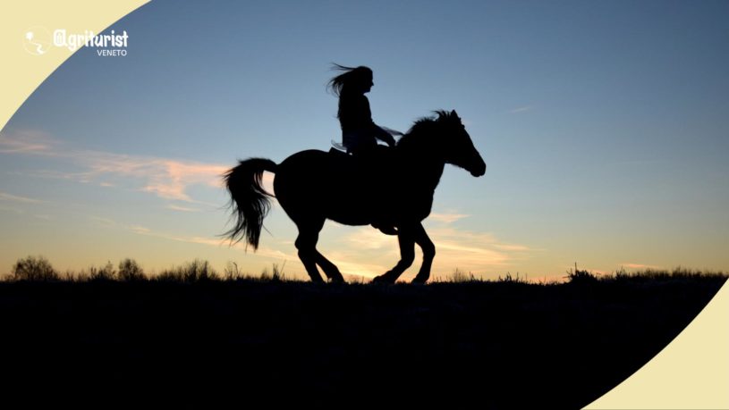 veneto a cavallo